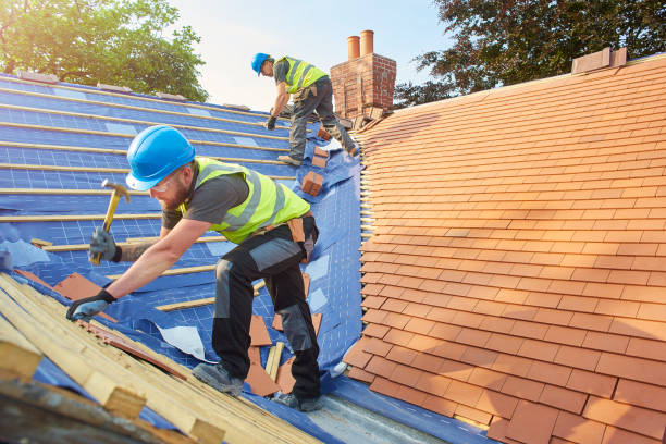 Best Sheet Metal Roofing  in Lincoln, IL